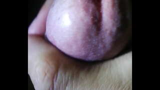 ���ੀਰ ਡੈਮ ਪਾਬੰਦੀ nhieu tinh voi quán ਬਹੁਤ em nhi