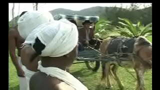 ���ੇ ਤੌਰ ਤੇ Negras da senzala